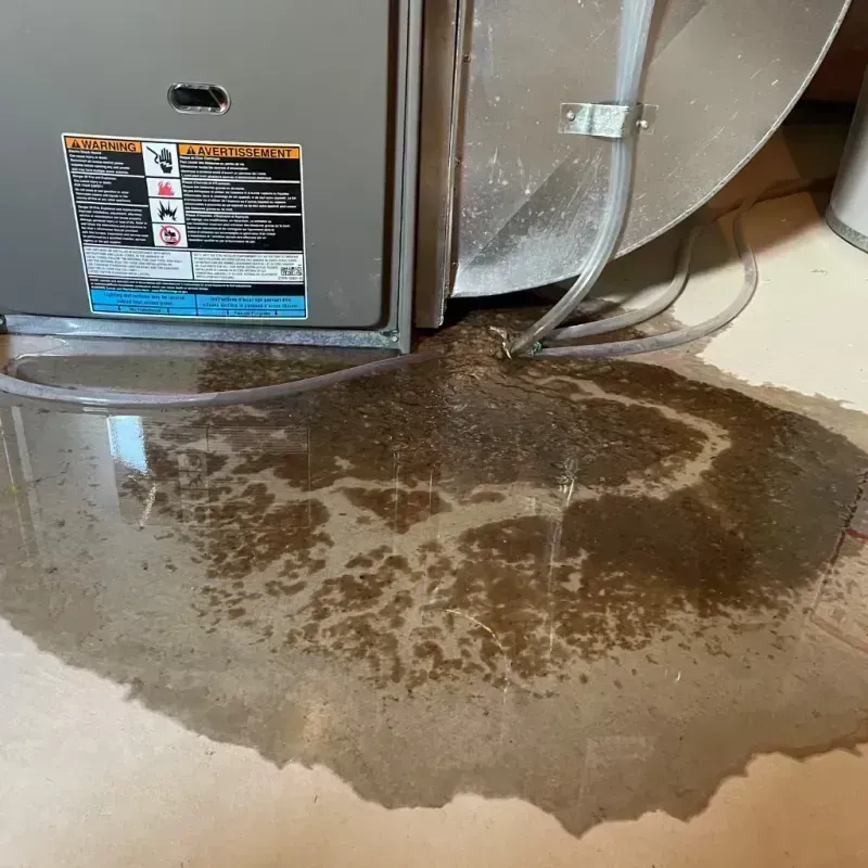 Appliance Leak Cleanup in Southside, AR